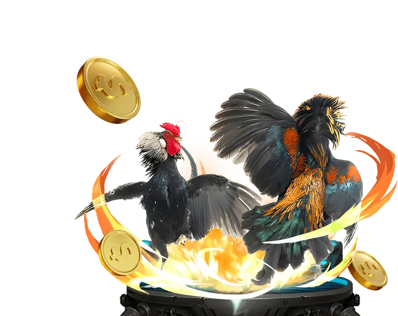 Giao diện đặt cược đá gà rich888 bet